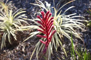 2025-06-21 Bartons Park - IMG_2473_compressed_q50.webp